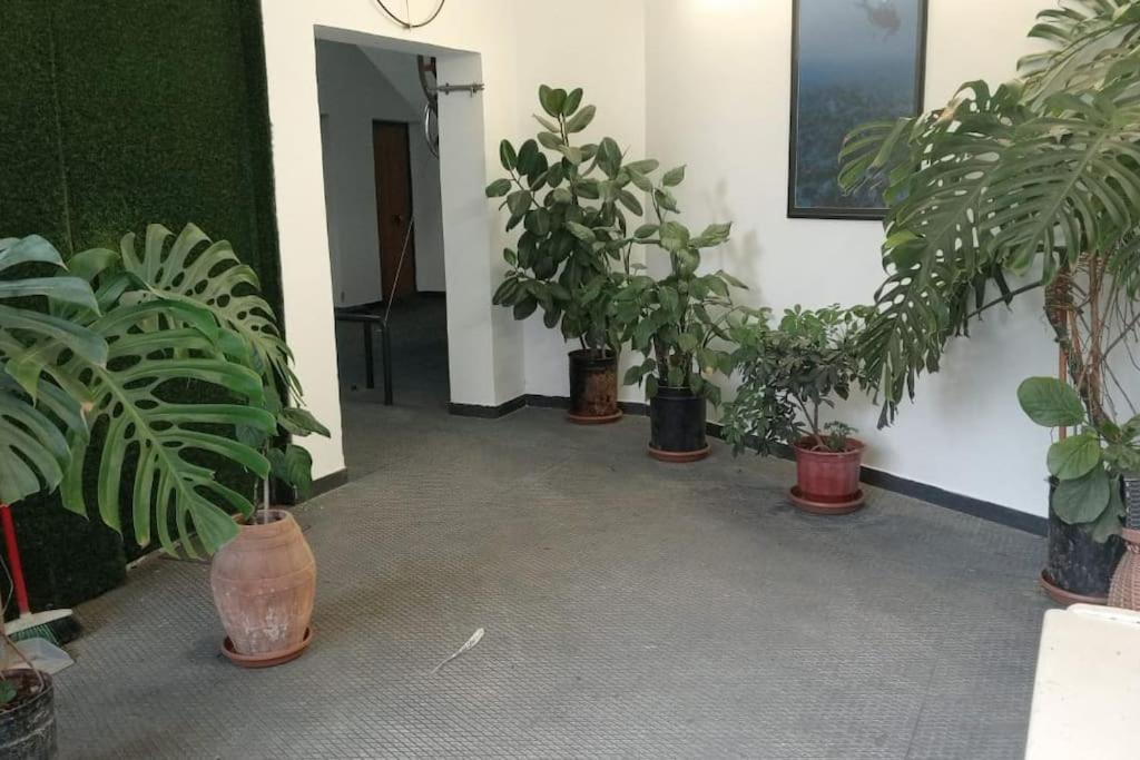 Pazari_Ri_Studio Appartement Tirana Buitenkant foto