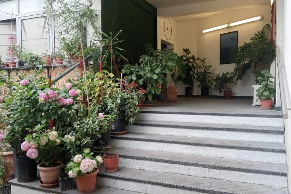Pazari_Ri_Studio Appartement Tirana Buitenkant foto